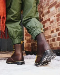 1460 Pascal DM's Wintergrip Leren Enkellaarzen in Bruin